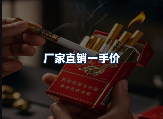专业团队办公环境